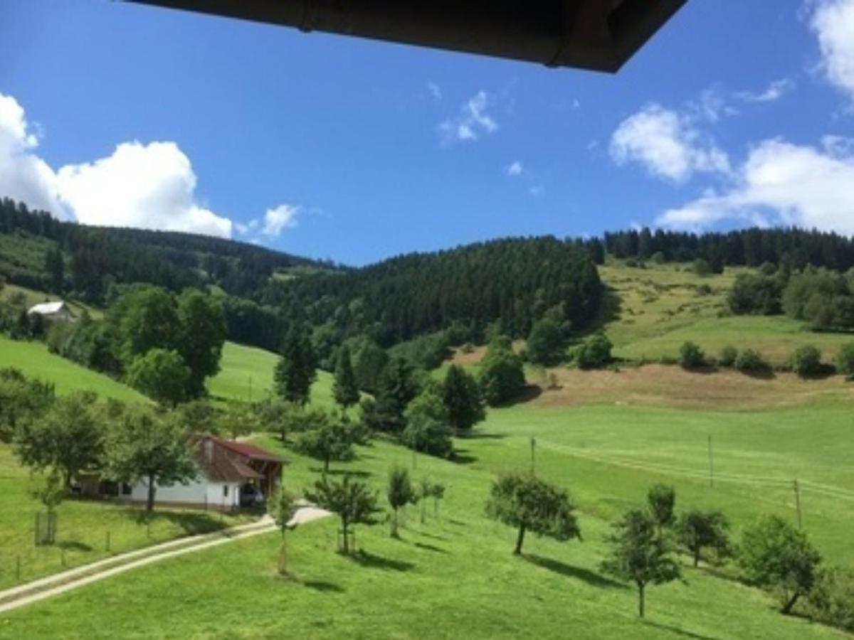 אובריאד Ferienwohnungen Maierhof Oberried מראה חיצוני תמונה