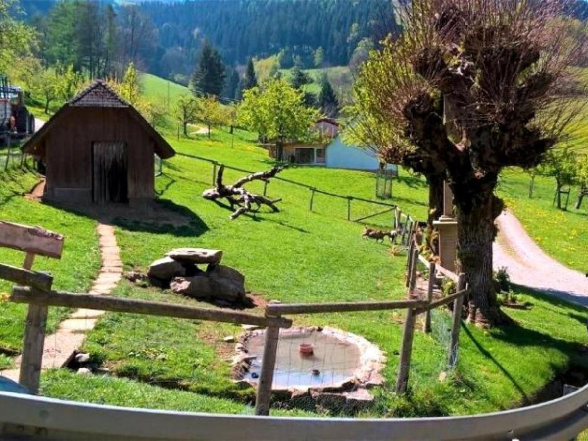 אובריאד Ferienwohnungen Maierhof Oberried מראה חיצוני תמונה