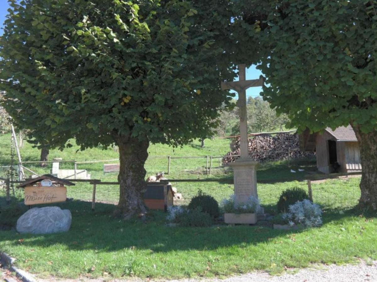 אובריאד Ferienwohnungen Maierhof Oberried מראה חיצוני תמונה